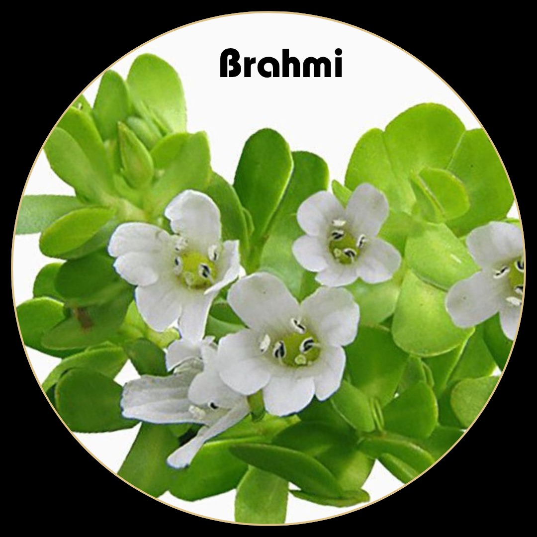 Brahmi- hairfall solution for men
