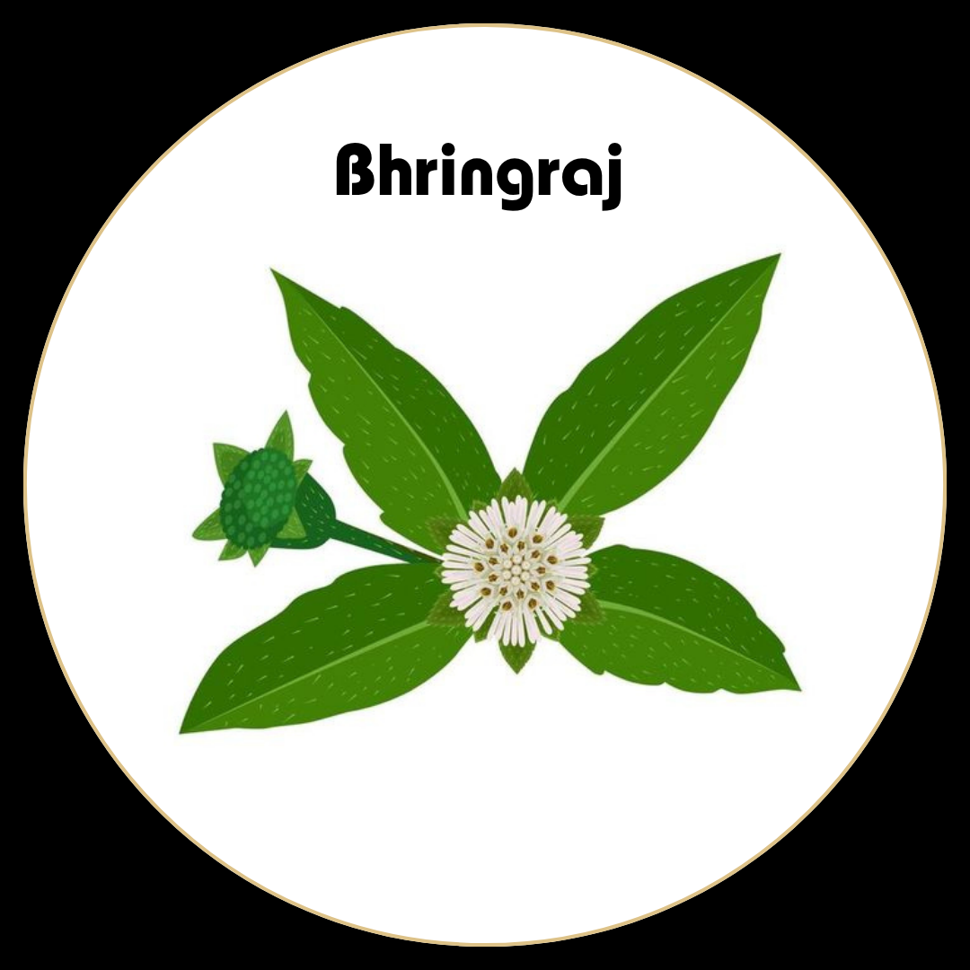 Bhringraaj-hairfall solution for men