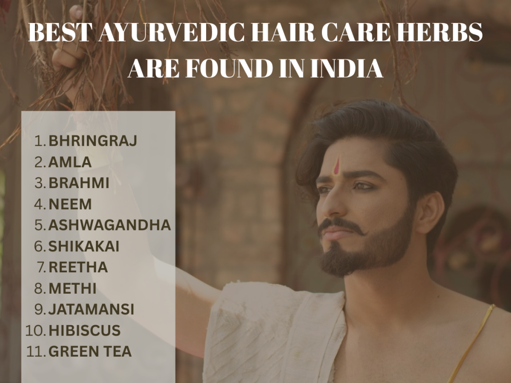 best Ayurvedic hair care product