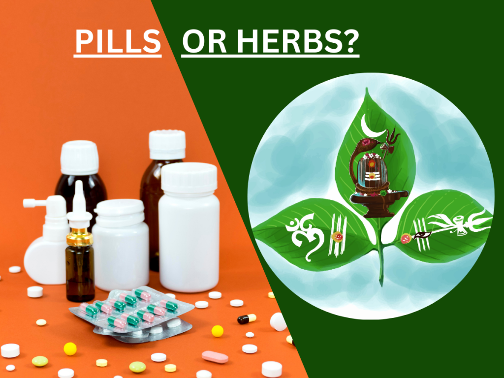 ayurvedic hair care herbs or modern pills?